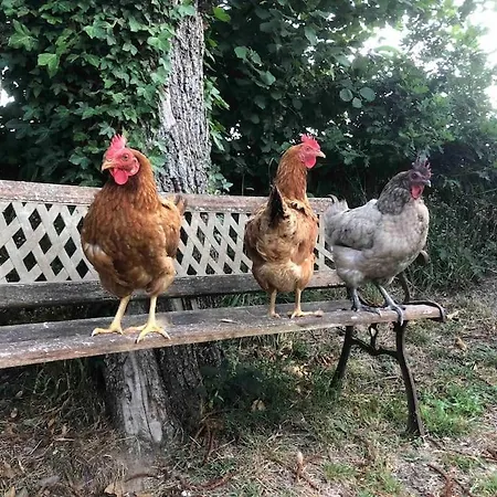 Jasmin With Seasonal Swimming Pool Vakantiehuis *