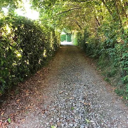 Jasmin With Seasonal Swimming Pool * Le Mesnil-Gilbert