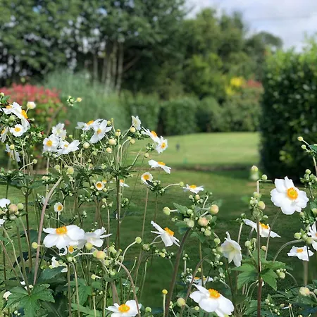 Holiday home Jasmin With Seasonal Swimming Pool Le Mesnil-Gilbert