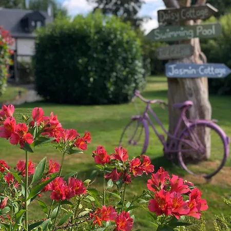 Jasmin With Seasonal Swimming Pool Le Mesnil-Gilbert