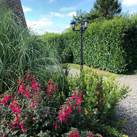 Jasmin With Seasonal Swimming Pool Vakantiehuis Le Mesnil-Gilbert