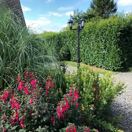Jasmin With Seasonal Swimming Pool Holiday home Le Mesnil-Gilbert