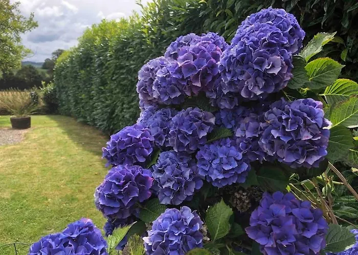 Jasmin With Seasonal Swimming Pool Le Mesnil-Gilbert
