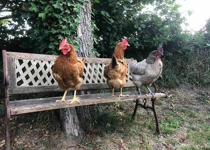 Jasmin With Seasonal Swimming Pool Ferienhaus *