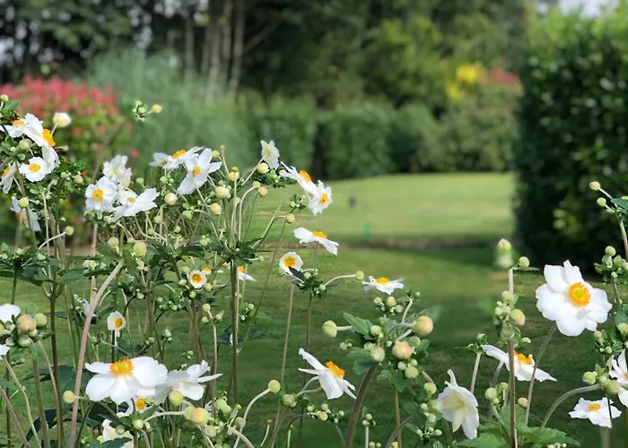 Ferienhaus Jasmin With Seasonal Swimming Pool Le Mesnil-Gilbert