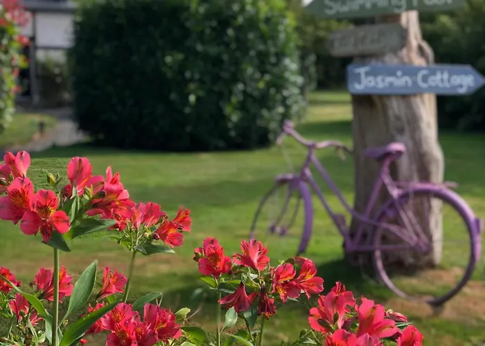 Jasmin With Seasonal Swimming Pool Le Mesnil-Gilbert